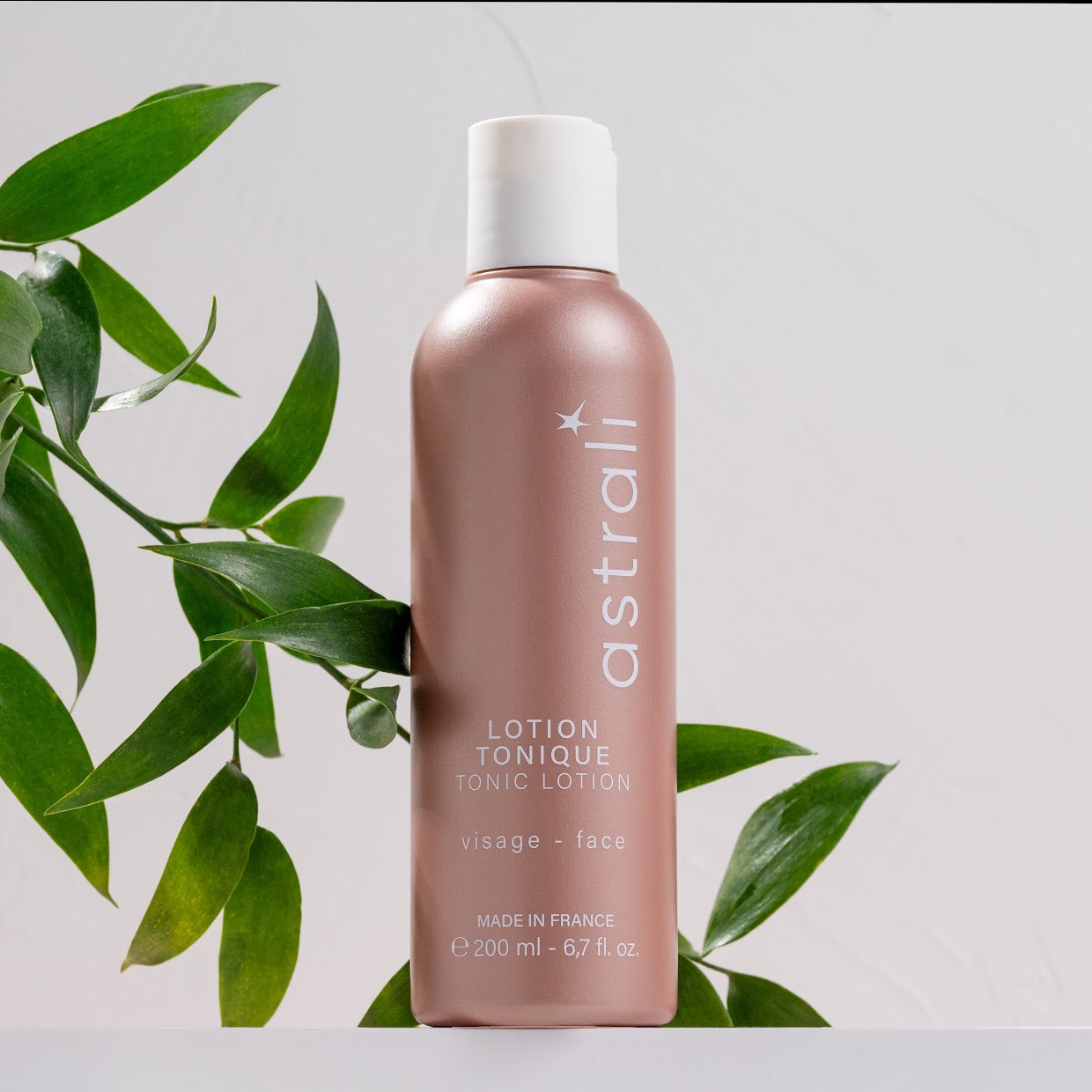 Tonic Lotion - kasvovesi ja hoitoneste - Vito Beauty